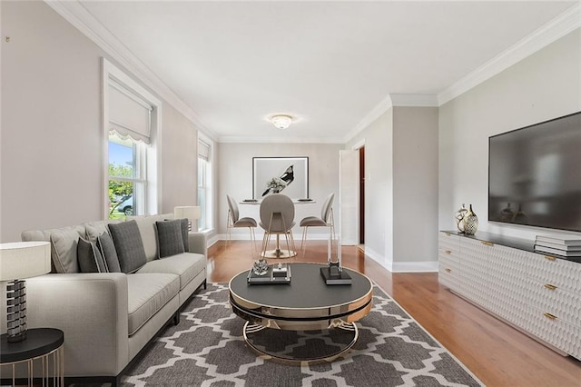 living room featuring crown molding and wood-type flooring