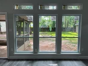 doorway featuring hardwood / wood-style flooring and plenty of natural light