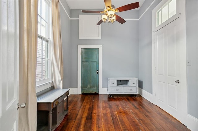 interior space with ceiling fan and dark hardwood / wood-style floors