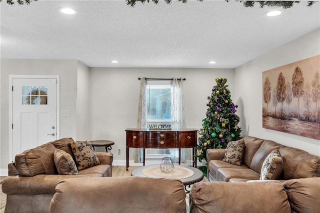 living room with a textured ceiling and wood-type flooring