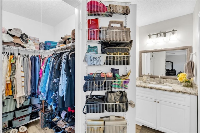 spacious closet featuring hardwood / wood-style flooring and sink