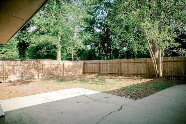 view of yard featuring a patio area