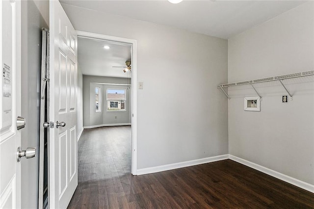 washroom featuring washer hookup, ceiling fan, and dark hardwood / wood-style floors