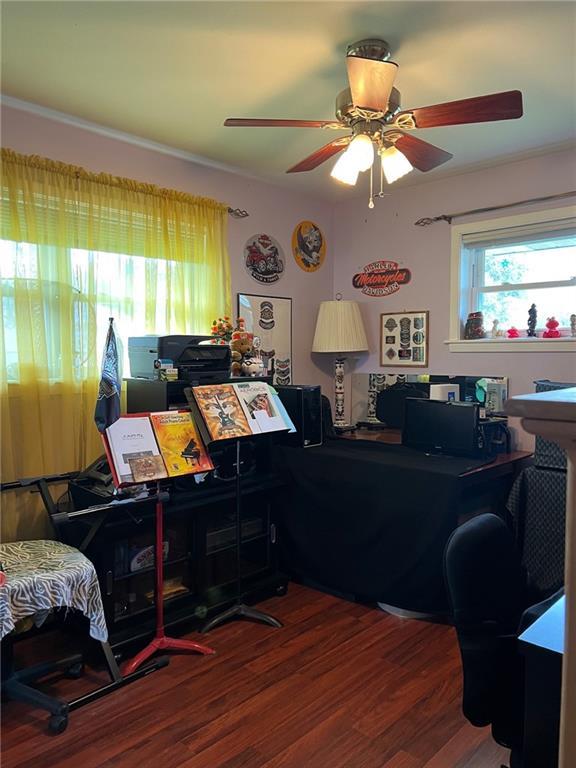 office featuring wood-type flooring and ceiling fan