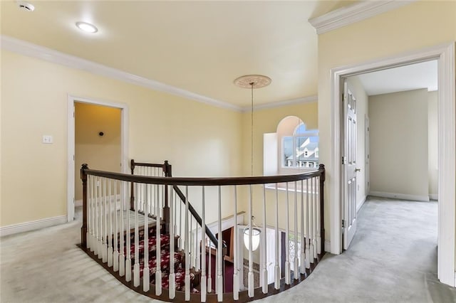 corridor with ornamental molding and carpet floors