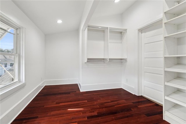 spacious closet with dark wood-type flooring