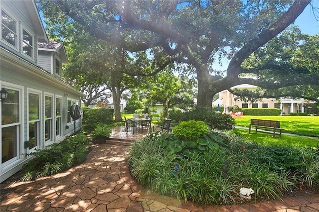 view of yard with a patio