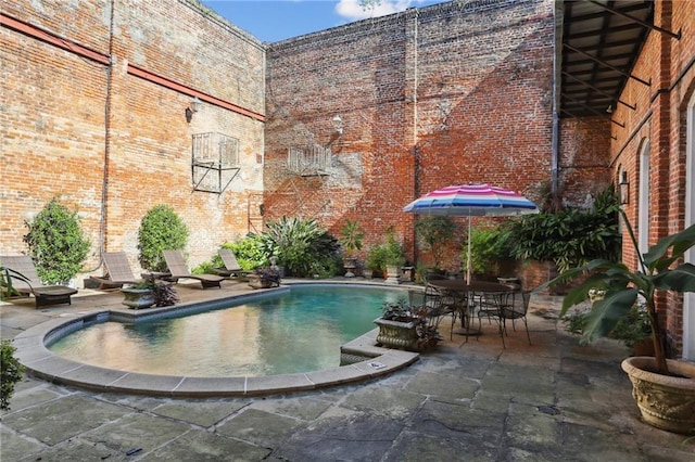 view of swimming pool with a patio