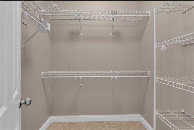 view of spacious closet