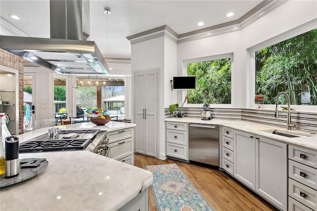 112 Bayou Perez Dr, Madisonville, LA 70447 - kitchen featuring island range hood, appliances with stainless steel finishes, ornamental molding, healthy amount of natural light, and a sink