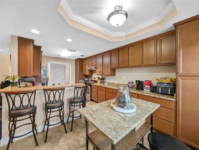 kitchen featuring light stone countertops, appliances with stainless steel finishes, a tray ceiling, and ornamental molding