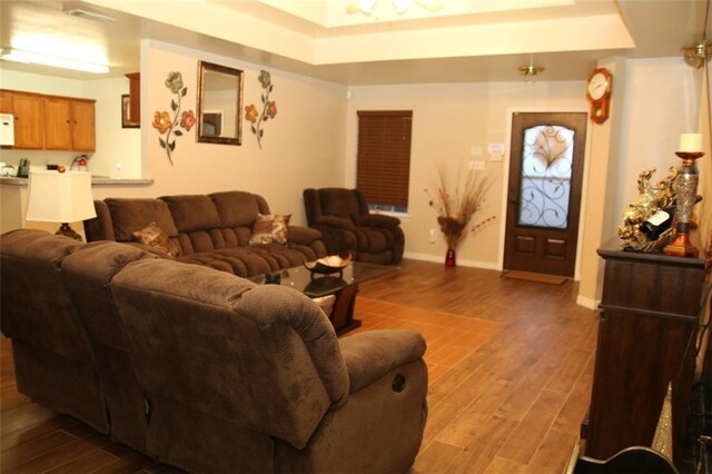 living room with hardwood / wood-style flooring and a raised ceiling