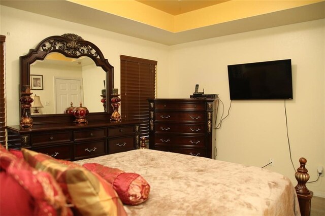 bedroom featuring a tray ceiling