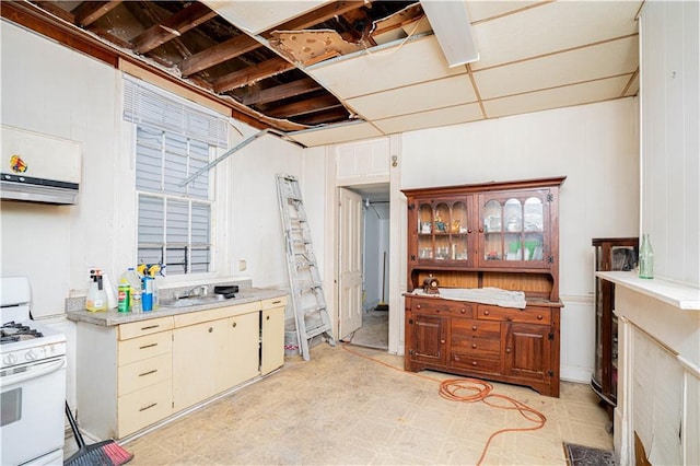 kitchen featuring exhaust hood, white range with gas stovetop, and sink