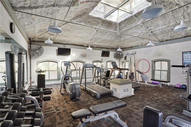 workout area with carpet floors