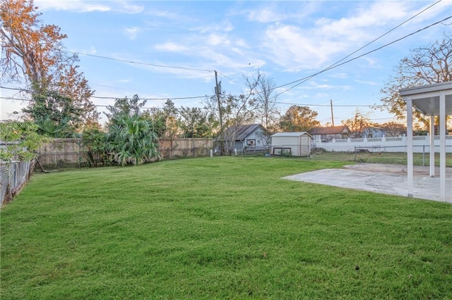 view of yard featuring a patio and a storage unit