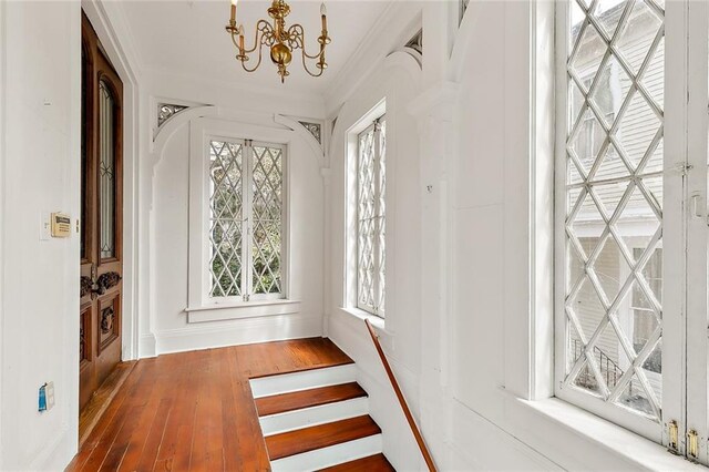 interior space featuring ornamental molding, dark wood-type flooring, and an inviting chandelier