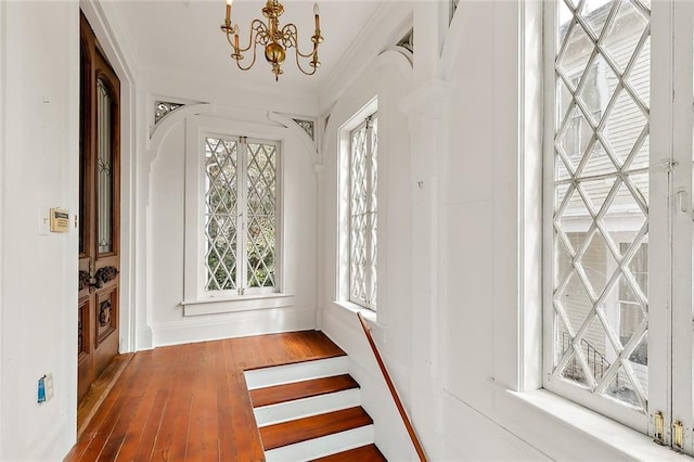 interior space with dark hardwood / wood-style floors, crown molding, and a chandelier