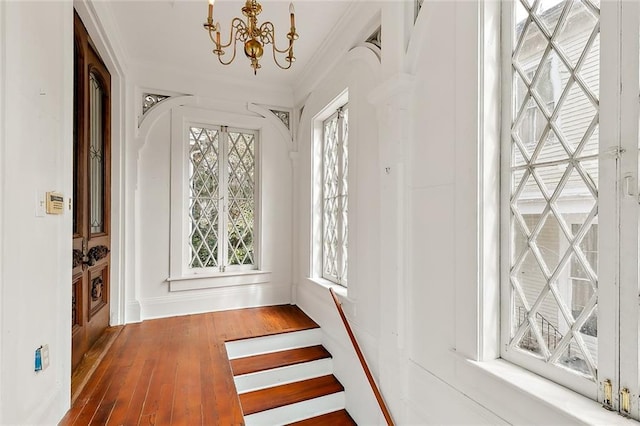 7917 Sycamore St, New Orleans, LA 70118 - entryway with a chandelier, plenty of natural light, hardwood / wood-style floors, and crown molding