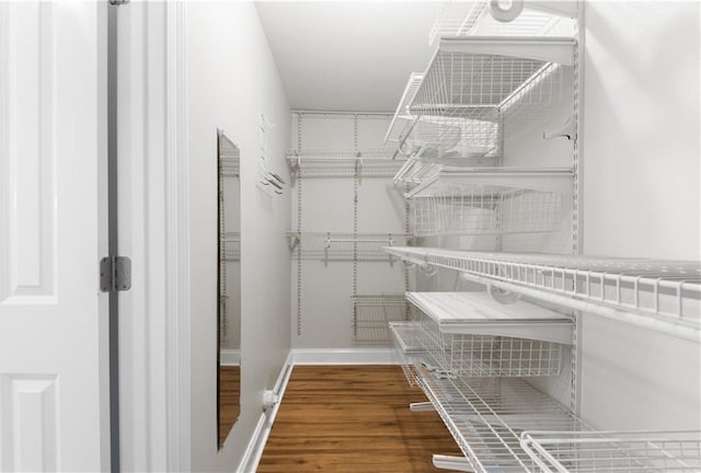 walk in closet featuring hardwood / wood-style flooring