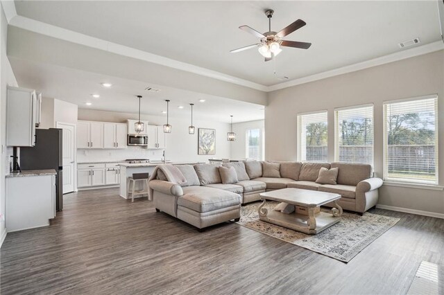 living room with a wealth of natural light, dark hardwood / wood-style flooring, ornamental molding, and ceiling fan