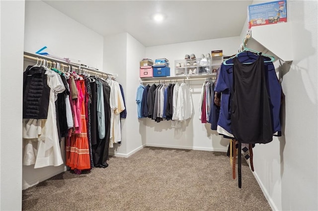 walk in closet with carpet flooring