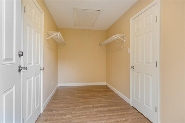 walk in closet with light hardwood / wood-style floors