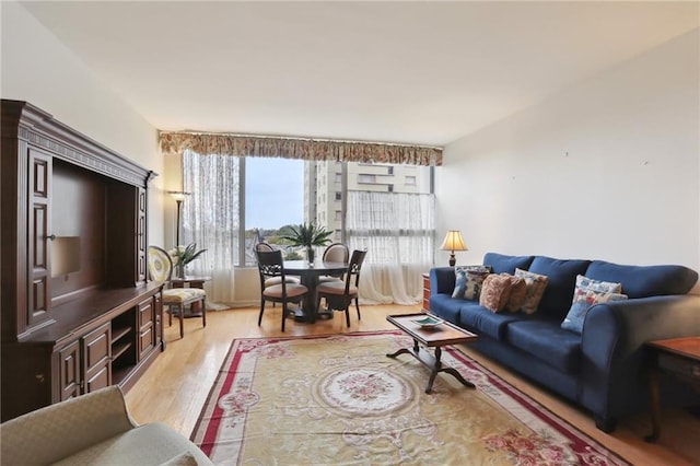 living room featuring light hardwood / wood-style flooring