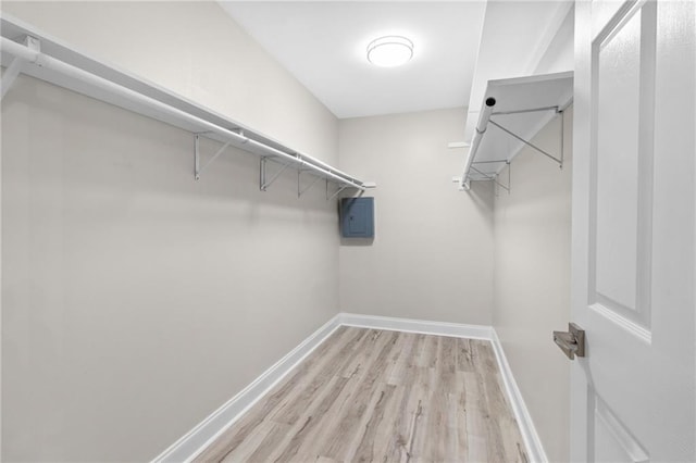 walk in closet with light wood-type flooring and electric panel