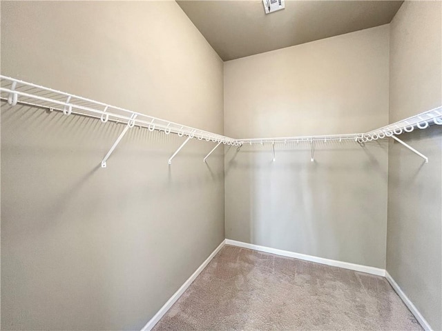 walk in closet with carpet