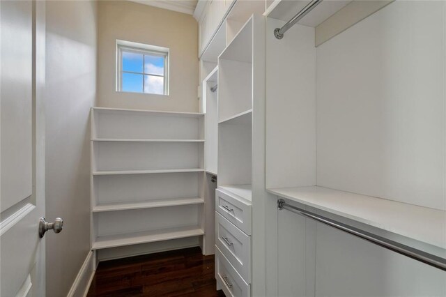 spacious closet with dark wood-type flooring