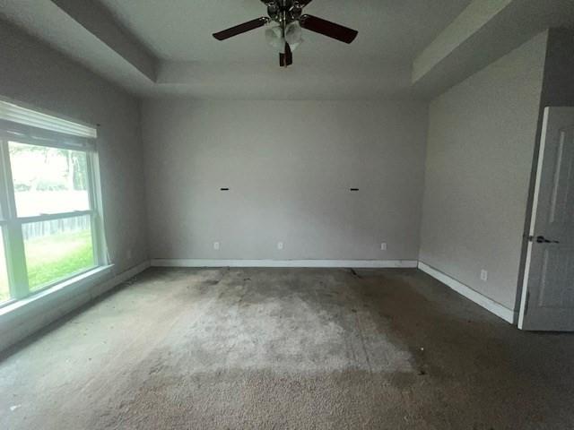 spare room featuring a raised ceiling, ceiling fan, and carpet flooring