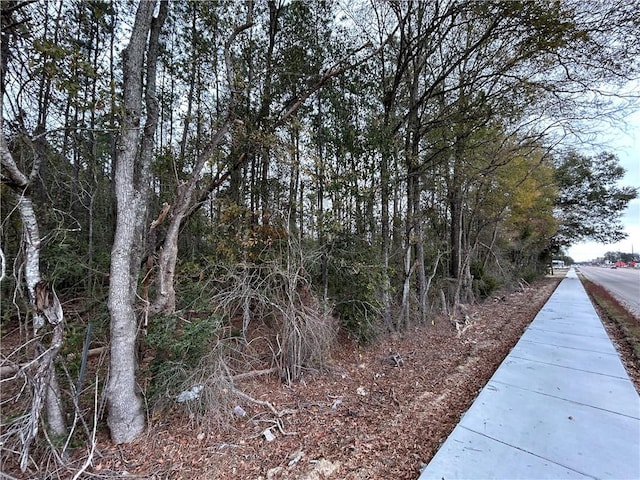 W University Ave, Hammond, LA 70401 - photo 5