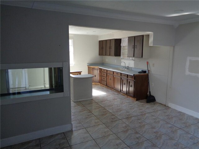 kitchen featuring ornamental molding and sink