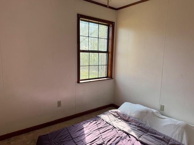 unfurnished bedroom with carpet floors, multiple windows, and ornamental molding