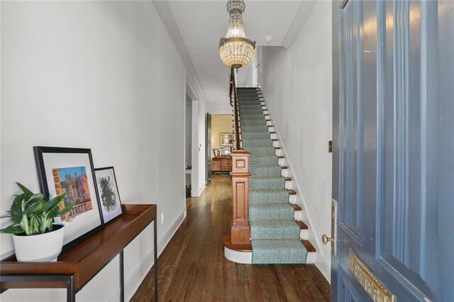 foyer featuring dark wood-type flooring, a notable chandelier, and ornamental molding