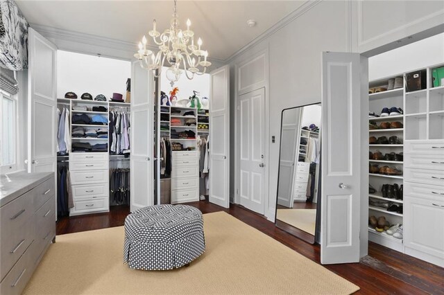 walk in closet featuring an inviting chandelier and dark hardwood / wood-style flooring