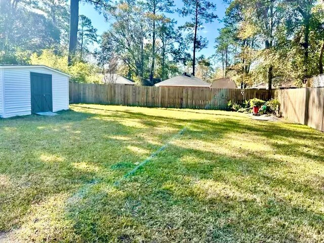 view of yard featuring a shed