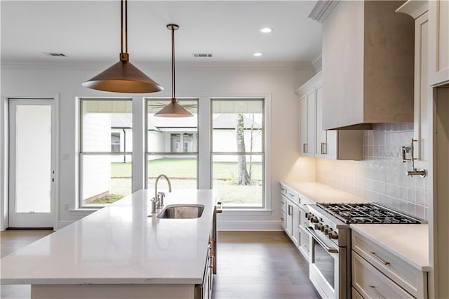 5044 Twin River Pl, Covington, LA 70433 - kitchen featuring a sink, high end stainless steel range, wood finished floors, a kitchen island with sink, and backsplash