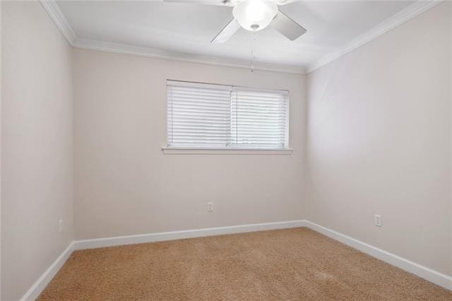 unfurnished room with ceiling fan, carpet, and ornamental molding