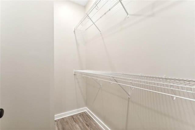 walk in closet featuring hardwood / wood-style floors