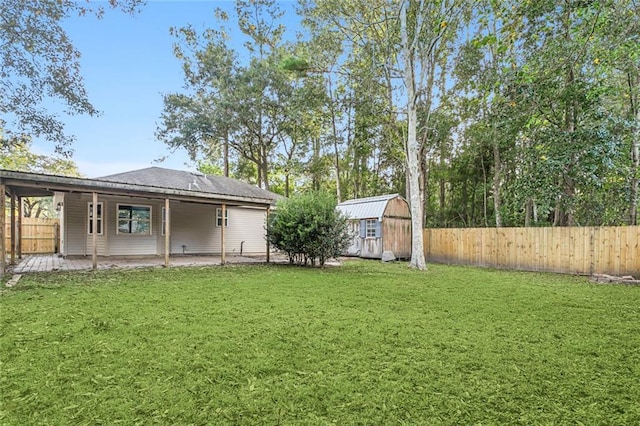 view of yard with a patio and a shed