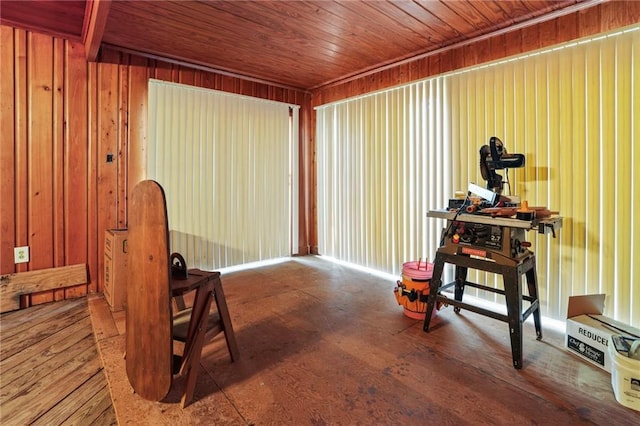 miscellaneous room with wood ceiling, wood walls, and hardwood / wood-style floors