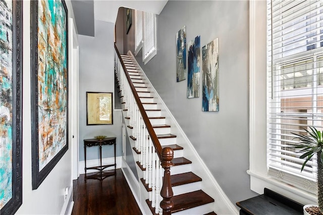 stairway with hardwood / wood-style floors