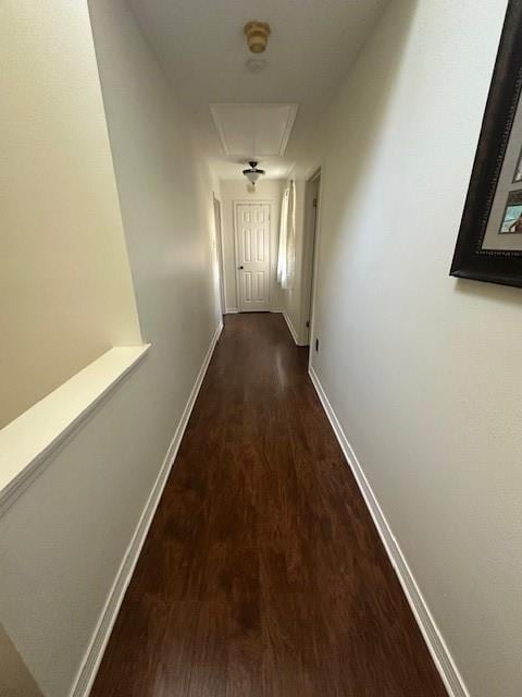 corridor featuring dark wood-type flooring