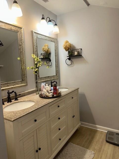 bathroom with wood-type flooring and vanity