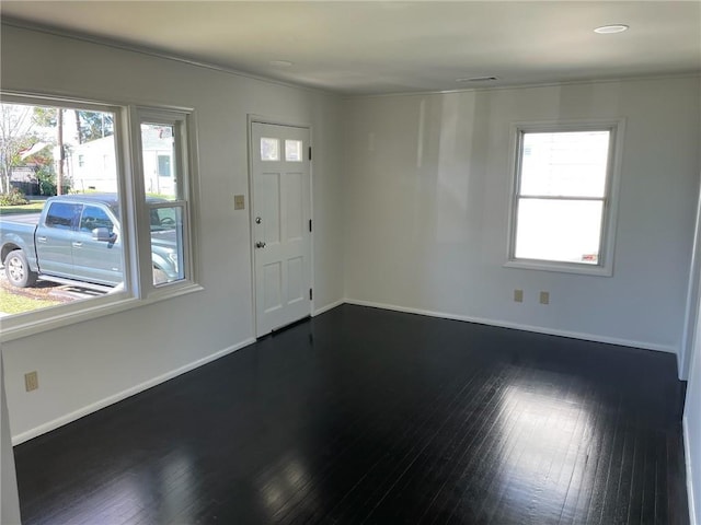 foyer featuring dark wood-type flooring and a wealth of natural light