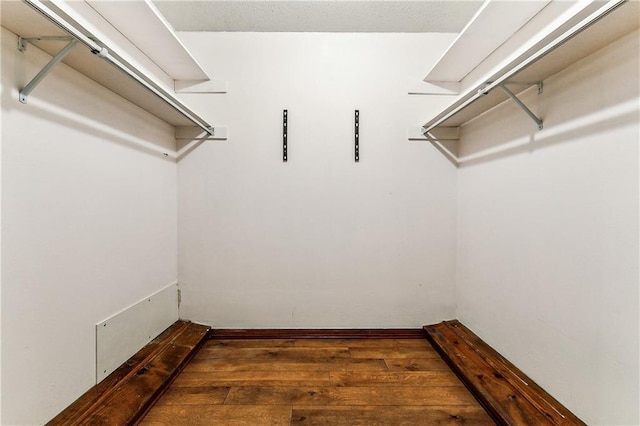 spacious closet with dark wood-type flooring