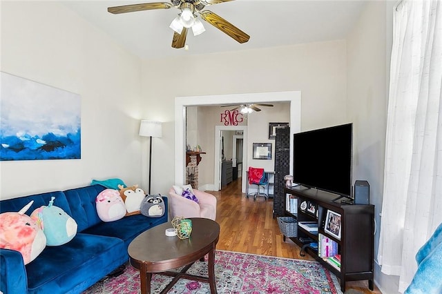 living room featuring hardwood / wood-style flooring