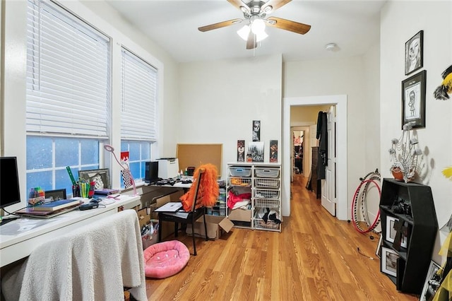 office area featuring light wood-type flooring and ceiling fan